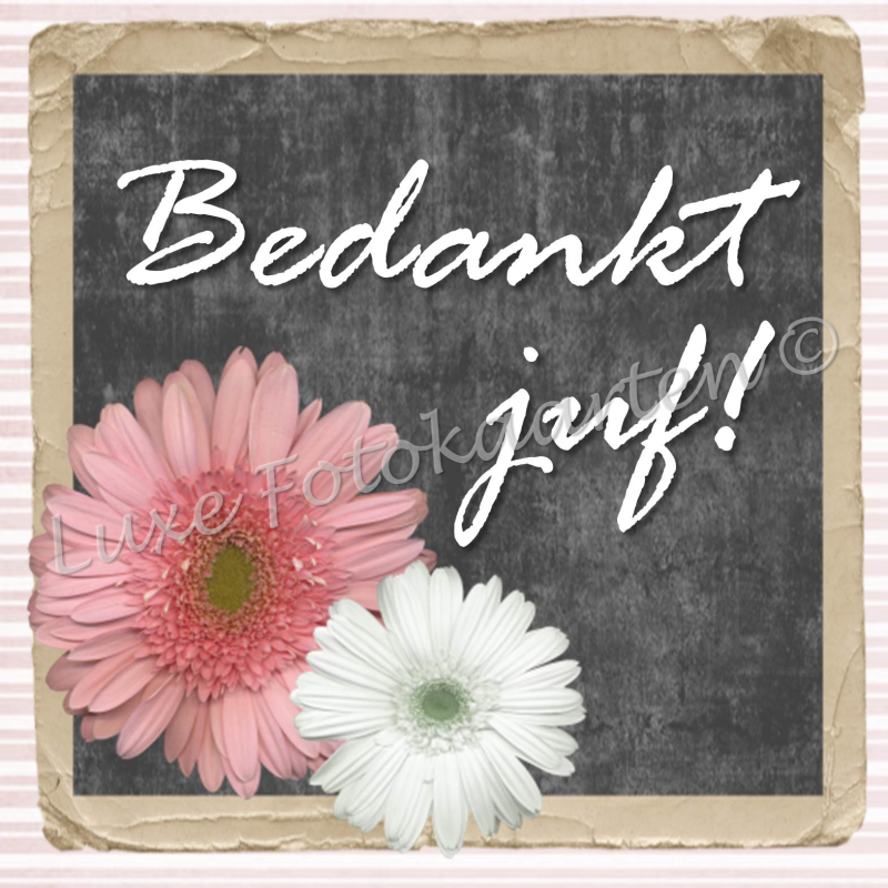 Bedankt Juf - gerbera